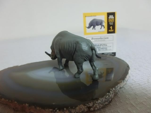 UHA 味覚糖　チョコラザウルス　恐竜　古代生物　コレクション Amazon.co.jp: チョコラザウルス DINOTALES 恐竜 古代生物 フィギュア