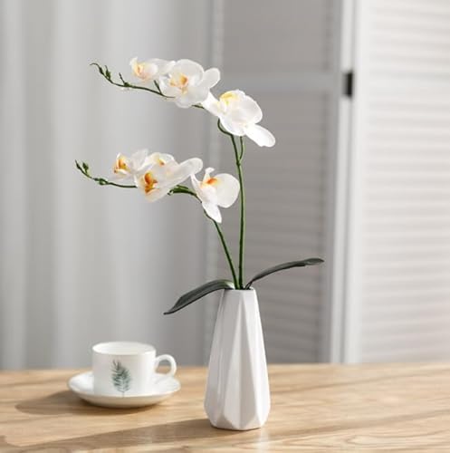 Demanca  CeA A[gt[ ԑ EGX^[Yt[ O v[g Mtg 蕨 JXj a    EFfBO u[P   Be p z[ 뉀 Lb` ItBX \[vt[ 