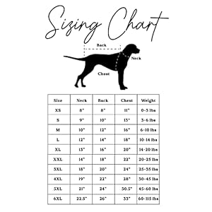 Kiss-Me-Im-Irish-Dog-Tee-Shirt-Sizes-for-Puppies-Toys-and-Large-Breeds-69-Green-4X-Large - Cucciolini Doodles   Kiss-Me-Im-Irish-Dog-Tee-Shirt-Sizes-for-Puppies-Toys-and-Large-Breeds-69-Green-4X-Large