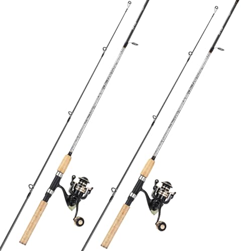 Sougayilang Reel and Fishing Rod Combo, Fiberglass Fishing Pole with Durable P-Cork Rod Handle, Lightweight Graphite Frame- 5'6" with 1000 Reel- 2 Packs