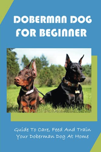 Doberman Dog For Beginner: Guide To Care, Feed And Train Your Doberman Dog At Home: How To Prepare For A Doberman Dog