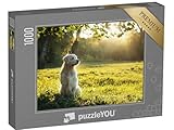 puzzleYOU