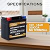 Weize AUX14 AGM Auxiliary Battery, 36 Months Warranty, 200CCA, BCI Group 400 Battery #1