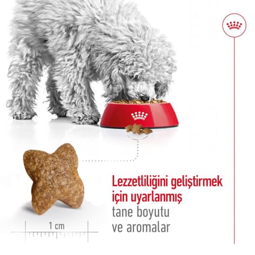 Royal Canin Mini Adult - Hundefutter, 1er Pack (1 x 4 kg)