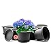 BigDean 8 Stück Blumentopf mit Untersetzer rund ø 30 cm Anthrazit – wetterfester Pflanzkübel Made in Europe