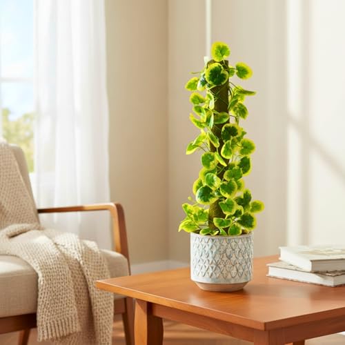 Image of fancymart Artificial Leaves Vine on Moss Stick 60 cm (Without Pot) | Decorative Indoor Plant for Home, Office, Cafe & Restaurant