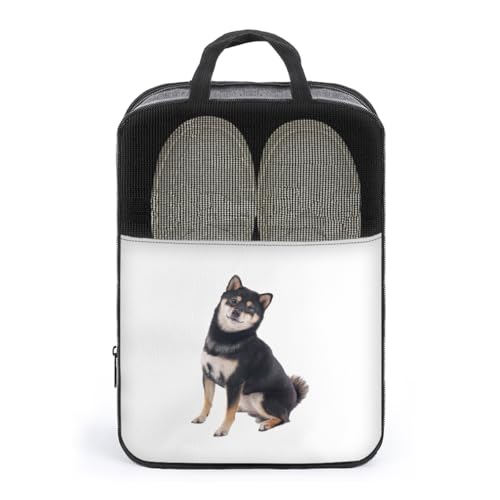 V[YP[X Č   V[YobO V[Y|[` V[Y gx|[` C  V[Y o s y ^тɕ֗ [obO ւ jp AEghA o s v[g