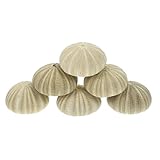 Supports pour plantes aériennes : décorez votre balcon, rebord de fenêtre, table à manger, bureau et pièce, ajoutant du plaisir à la vie, pot de coquillages d'oursins