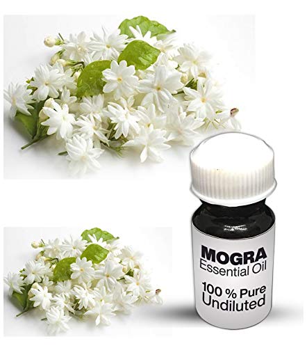 Huile absolue Mogra pour apaiser l'esprit et retrouver la sérénité, essence pure de 100 ml