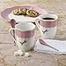 Lenox 897803 Butterfly Meadow Color Mugs With Spoons, Set Of 2, Pink