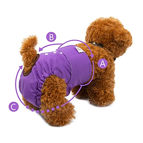 Image of CuteBone Dog Diapers Female Washable Small Medium Large 3 Pack Reusable Doggie Diapers Puppy Period Pants for Doggy Heat Cycle Peeing