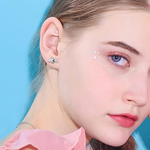 Koala Earrings 925 Sterling Silver Cute Animal Stud Earrings Hypoallergenic Koala Bear Earrings Jewellery Koala Gifts for Women Girls Girlfriend