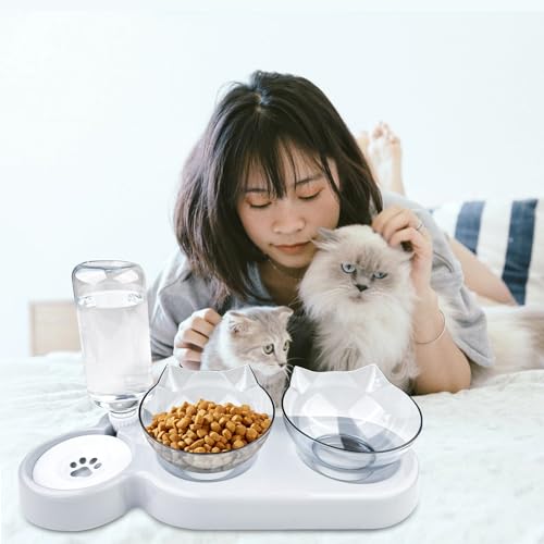 Ceisazira 3 in 1 Futternapf Katze Erhöht, 15 ° Kippbare Fressnapf Katze, Katzen Napfset mit Wasserfontänen, Erhöhter Katzennäpfe, Katzenschüssel, Katzenfressnapf, Katzenfutter Napf, Cat Bowl (Grau)