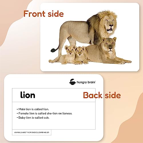 Image of Hungry Brain Animals & Their Babies Flash Cards for Toddlers & Kids | Montessori Early Learning Cards for Babies | Educational Toy for Ages 3 Months to 6 Years | Fun Preschool Activity & Gift