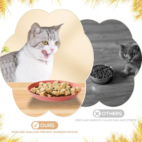 10 Stück Katzennapf,Katzenschüssel,Katzennapf Flach,Fressnapf Katze Futternapf,Runden Katzenteller,Fressnapf Katze,Bunt Katzenfutter Napfset,Cat Plate für Kätzchen und kurzbeinige Katzen
