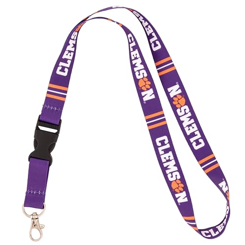 Desert Cactus Clemson University Lanyard Tigers Keychain Car Keys College ID Badge Holder Detachable Breakaway Snap Buckle (Lanyard C)