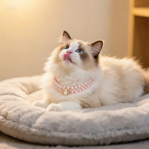 Image of HOWWFALY Dog Cat Pearl Collars with Spider Crystal Rhinestone PU Leather Collars Necklace Adjustable Collar Dog Chain Cat White Pearl Pet Collar for Small Medium Pets