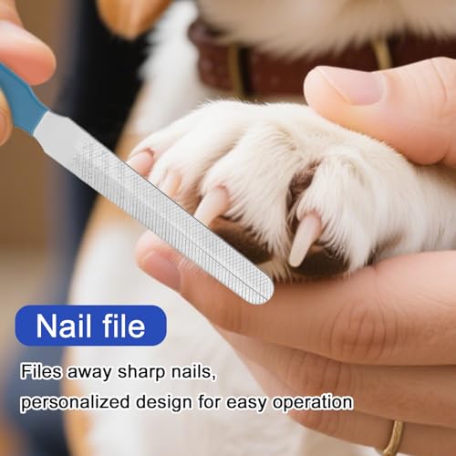 BOXOB Nagelknipser und Feile für Bartagamen, Edelstahl Kleintiere Zehennagelknipser Schere Professionelles Fellpflege Haustierwerkzeug für Reptilien Schildkröten Chamäleons Leguane (Blau)