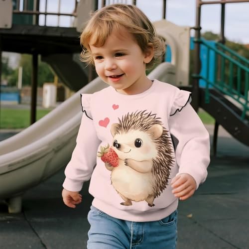 DISNIMO Girls Sweatshirt Kids Toddler Crewneck Sweatshirts Long Sleeve Shirts Fall Clothes Outfit Ruffle Pullover3