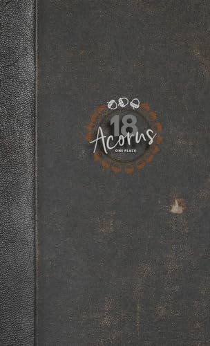 18ACORNS: BUJO and PRODUCTIVITY GUIDE FOR THE OVERWHELMED