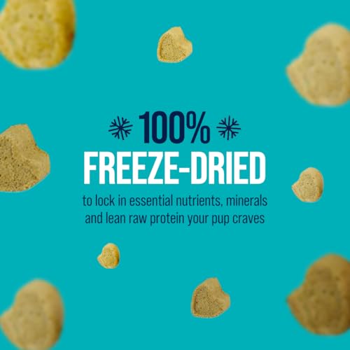 stewart raw naturals freeze dried raw dog food or meal topper chicken and salmon recipe 32 ounce bag complete and balanced nutrition