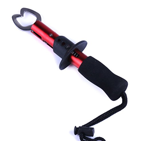 LENPABY 17cm Fish Lip Gripper Fish Scales Professional Fish Holder Stainless Steel Fish Lip Grabber Fish Lip Grip Tool with Weight Scale