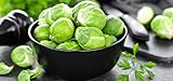 Brussels Sprout Seeds - 200+ Rare Heirloom Brussel Sprout Seeds (Long Island Improved) Yields 50-100...