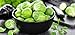 Brussels Sprout Seeds - 200+ Rare Heirloom Brussel Sprout Seeds (Long Island Improved) Yields 50-100 Sprouts per Plant! Guaranteed to Grow