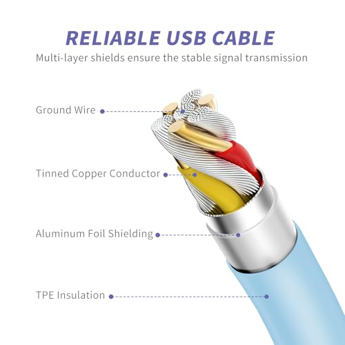 Image of iPhone Charger Fast Charging,[MFi Certified] 2Pack 20W Type C Fast Charger Block with [10FT&6FT] USB C to Lightning Cable Compatible for iPhone 14 /13 /12 /11 Pro Max /Xs Max /XR /X,iPad