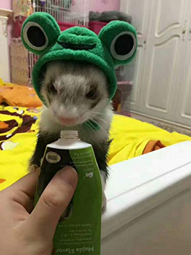 Ferret Hat Cartoon Animal Shape Pet Cap Ferrets Small Animals Hamster Rabbit Kitten Hat Pet Supplies for Everyday Decoration Christmas Halloween Decoration Use (Frog)