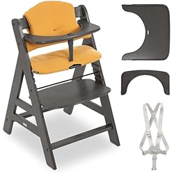 Trona Evolutiva Stokke Amazon Hauck Alpha Plus Select - Trona evolutiva madera - Trona bebe con arnés y cojín - Trona convertible - Charcoal Muslin Honey