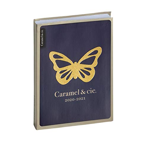 Télécharger Exacompta 1801041E Agenda Forum 1 Jour par Page Août 2020 Juillet 2021 12 cm x 17 cm Caramel&cie Pa livre En ligne