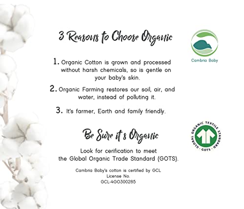 100 organic cotton fitted travel cribplayard sheets for guava lotus babybjorn dream on me baby joy and all 2434 x 4234 padsmattresses safety strap holes in corners 2 pk clouds and stripes