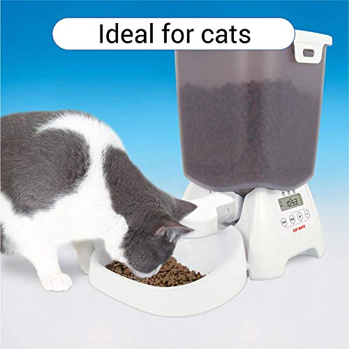 The Best Automatic Cat Feeders Reviews & Complete Buyers Guide