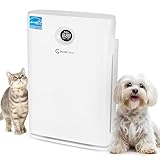 Our #7 Pick is the InvisiClean Claro Air Purifier Air Purifier