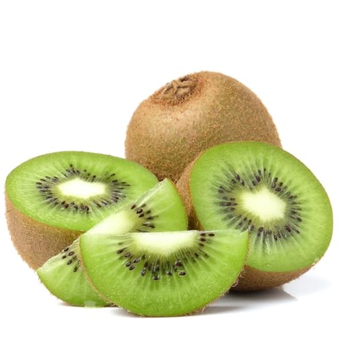 [݂̂₳] LEC Y 󂠂 2kg LECt[c LEB QY ʕ t[c