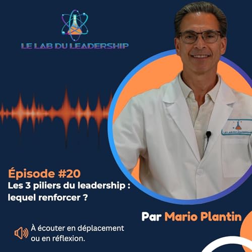『Épisode #20 - Les 3 piliers du leadership : lequel renforcer ?』のカバーアート