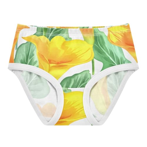 Floral Painted Orange Calla Lilies Girl Panties Cute Girls Underwear Toddler Cotton Bright Briefs Undies Kids 2t