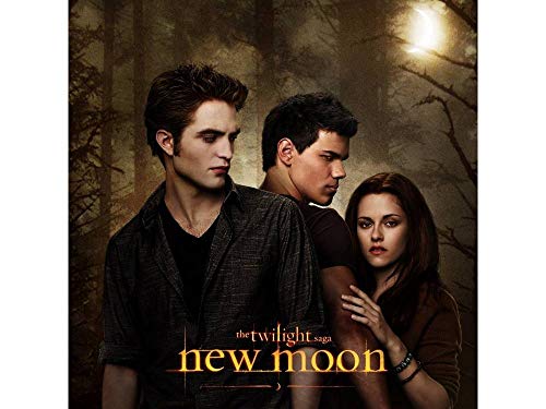 Spin Master Games The Twilight Saga New Moon Movie Board Game #TOP1