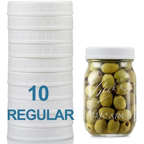 AOZITA 10 Pack Regular Mouth Mason Jar Lids Cover