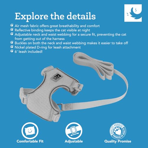 RC Pets Adventure Kitty Harness Includes Adjustable, Airmesh Fabric, 6' Leash and D-Ring Cat Walking Harness | Lil Heart, Medium