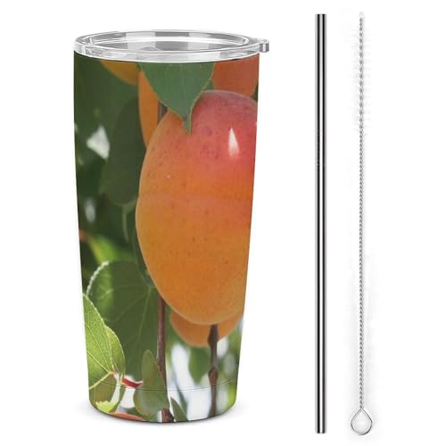 }OJbv t[cAԁAXgCvAgA킢ʐ^ RrjJbv ^fM W/Xg[t XeX{g X|[cΉ ۉ ۗ RȂ 600ml   ItBX AEghAp jp