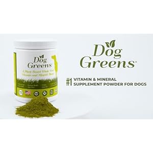 Superfood Rich in Antioxidants Multivitamins Minerals Prebiotics Skin  Immune Health  Excellent for Seniors Active Dogs  Puppies  Cucciolini Doodles Superfood rich in antioxidants multivitamins minerals prebiotics skin  immune health  excellent for seniors active dogs  puppies   cucciolini doodles