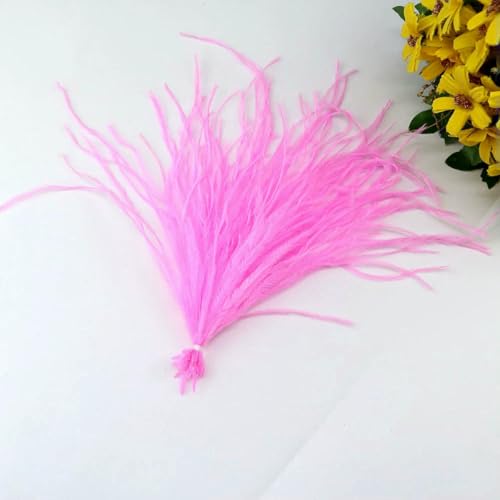 Lote de 100 plumas de avestruz naturales, teñidas con un suave color, de 10 a 15 cm y de 15 a 18 cm, para vestidos. Disponible en 19 colores (rosa intenso, 10 a 15 cm).