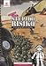 Stupidorisiko. Una Geografia Di Guerra. Ediz. Illustrata - 3