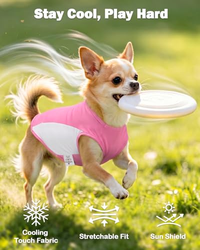 Image of CuteBone Cooling Stretch Sport Dog Tank - Athletic Fan Pet Jersey - Color Block Pet Vest for Small Dogs, Cats