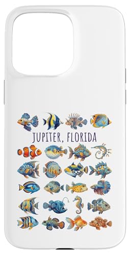 �W���s�^�[�t�����_�J���t���t�B�b�V���f�U�C�� �X�}�z�P�[�X iPhone 15 Pro Max �p