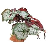 ERINGOGO 爬虫類用テラリウム人工植物 飾り葉シミュレーション 素材製 ペットの隠れ場に リアルな装飾効果