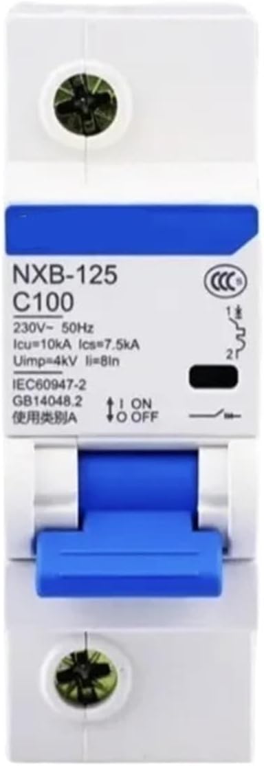 Miniature Circuit Breaker NXB-125 1P 80A 100A 125A air Switch(80A)