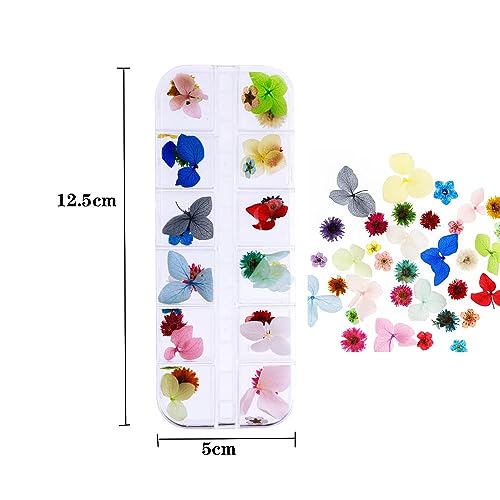SSyang 12 pezzi Nail Art Fiori Naturali, Scatole